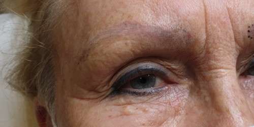 De Permanent Make Up Studio Wenkbrauwen voor behandeling 13 De Permanent Make Up Studio Wenkbrauwen voor behandeling 13